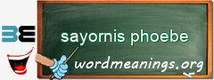 WordMeaning blackboard for sayornis phoebe